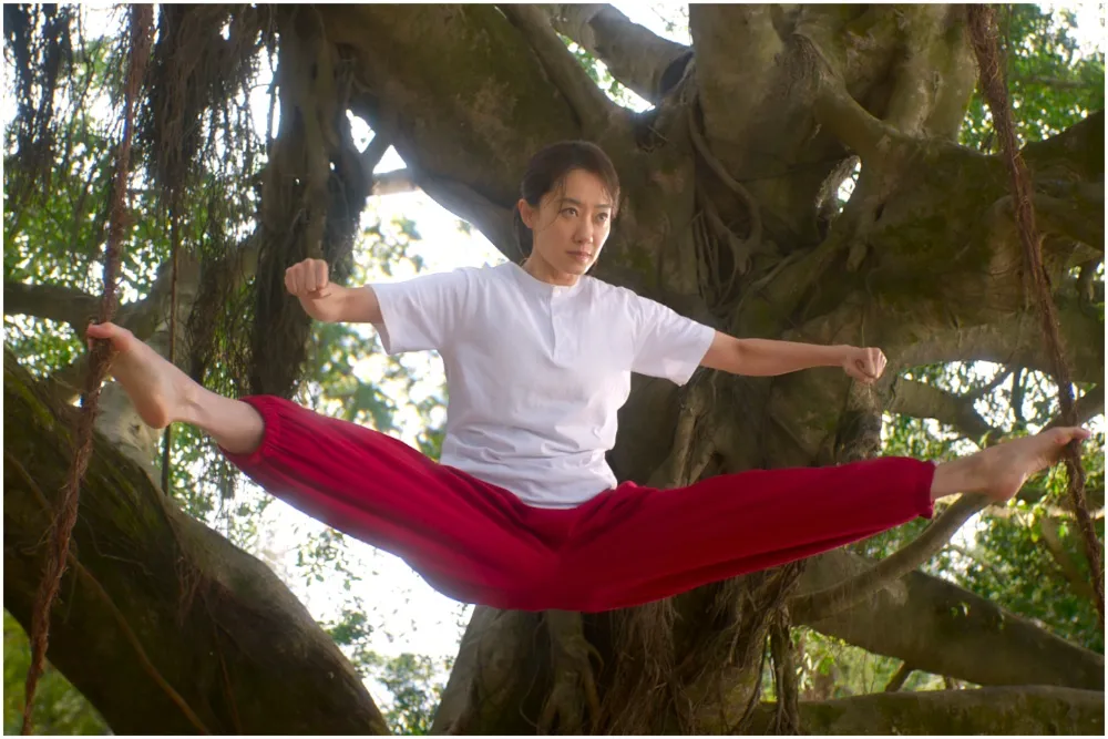 Kung fu soccer1